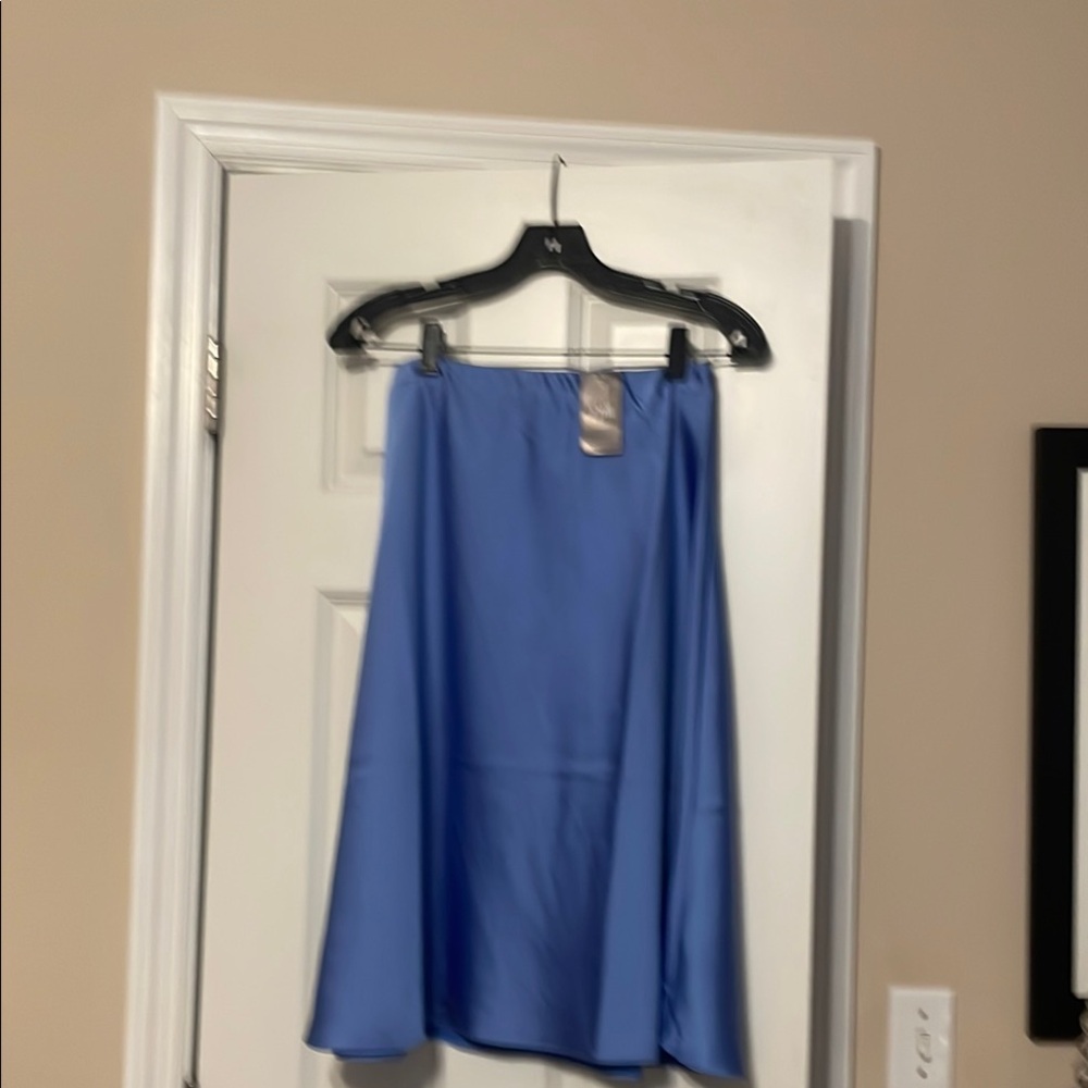 NWT J. Jill Elegant Sky Blue Midi Skirt